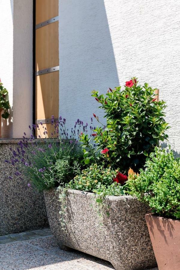 Rozna Dolina Apartment Ljubljana Dış mekan fotoğraf